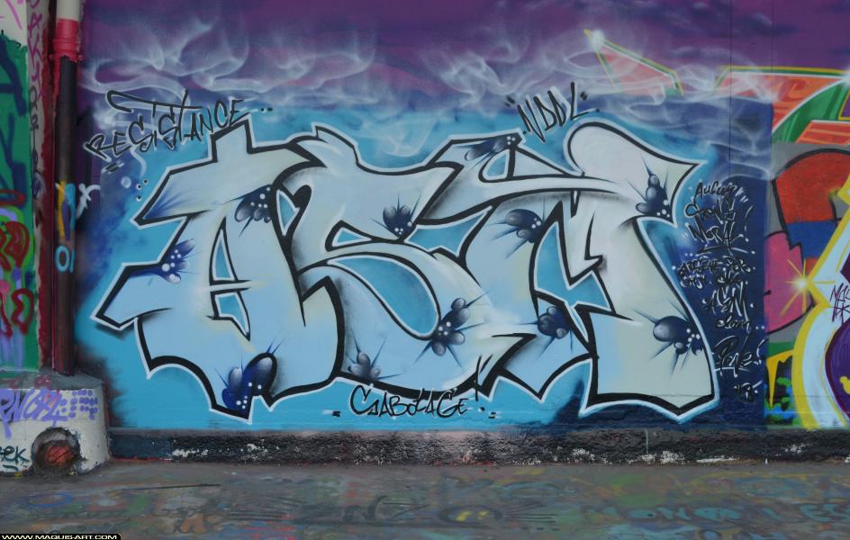 Graffiti à L'Aérosol Paris (30 mars 2018)