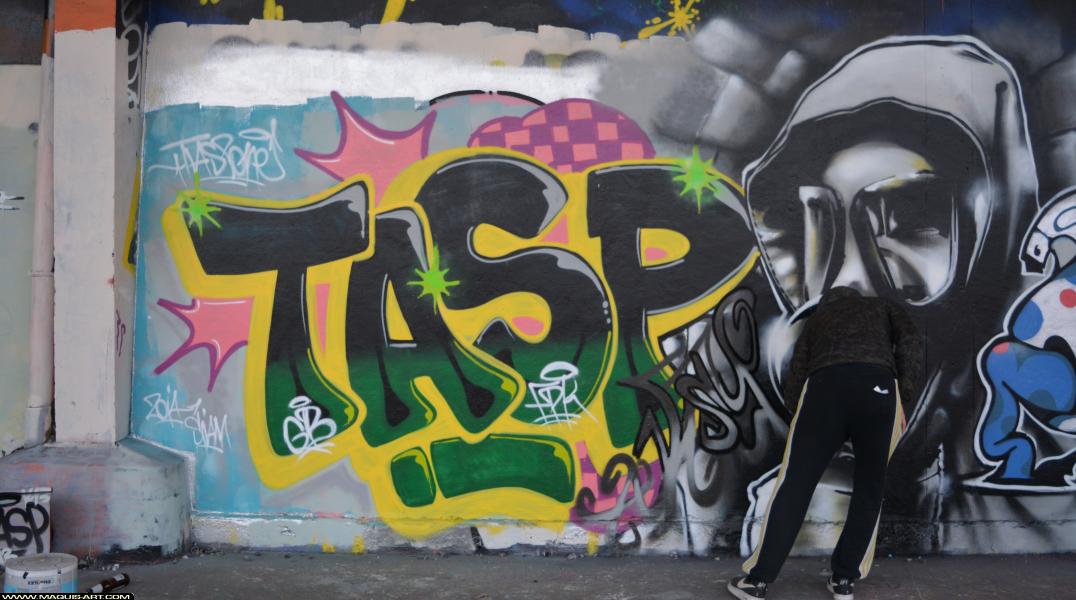 Graffiti de Tasp à L'Aérosol Paris (4 avril 2018)