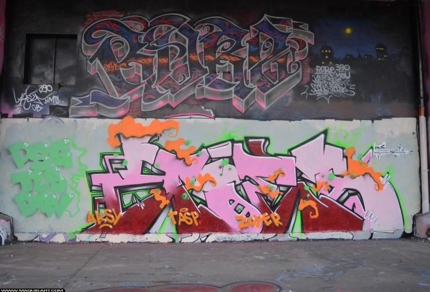 Graffiti de Zoea à L'Aérosol Paris (4 avril 2018)