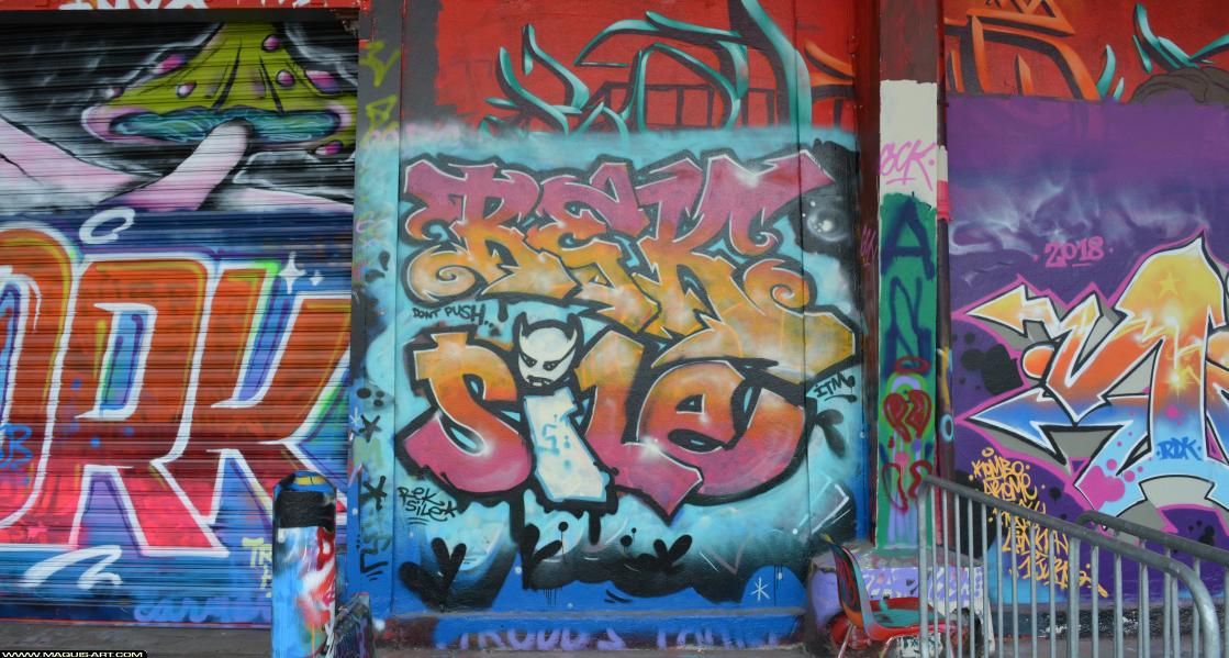 Graffiti de Rek et Sile à L'Aérosol Paris (6 avril 2018)
