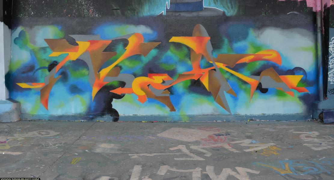 Nek - Artiste Graffiti au Wall of Fame L'Aérosol