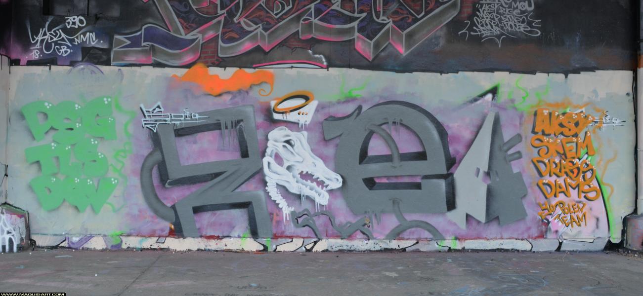 Graffiti de Zoea à L'Aérosol Paris (6 avril 2018)