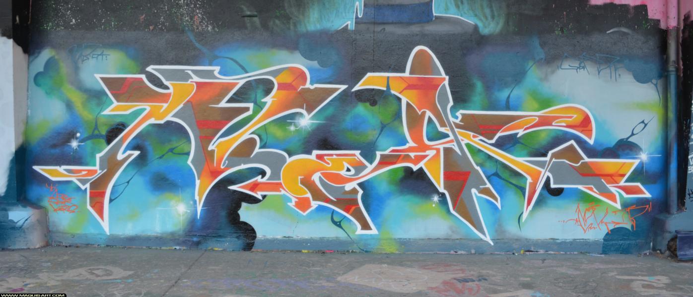 Graffiti de Nok à L'Aérosol Paris (6 avril 2018)