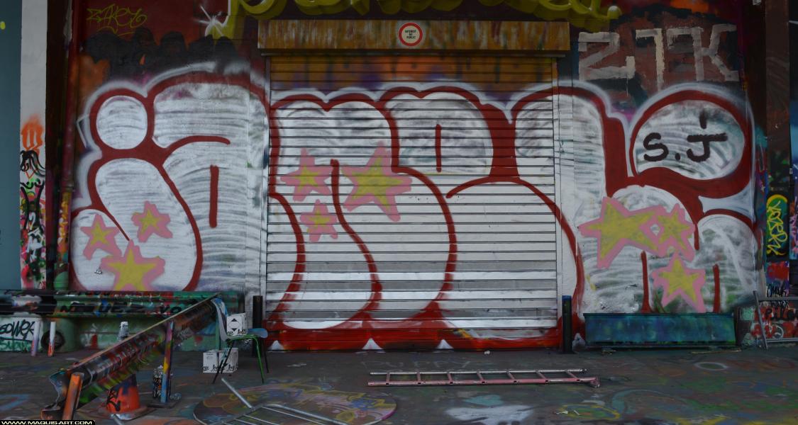 Graffiti de Janel à L'Aérosol Paris (7 avril 2018)