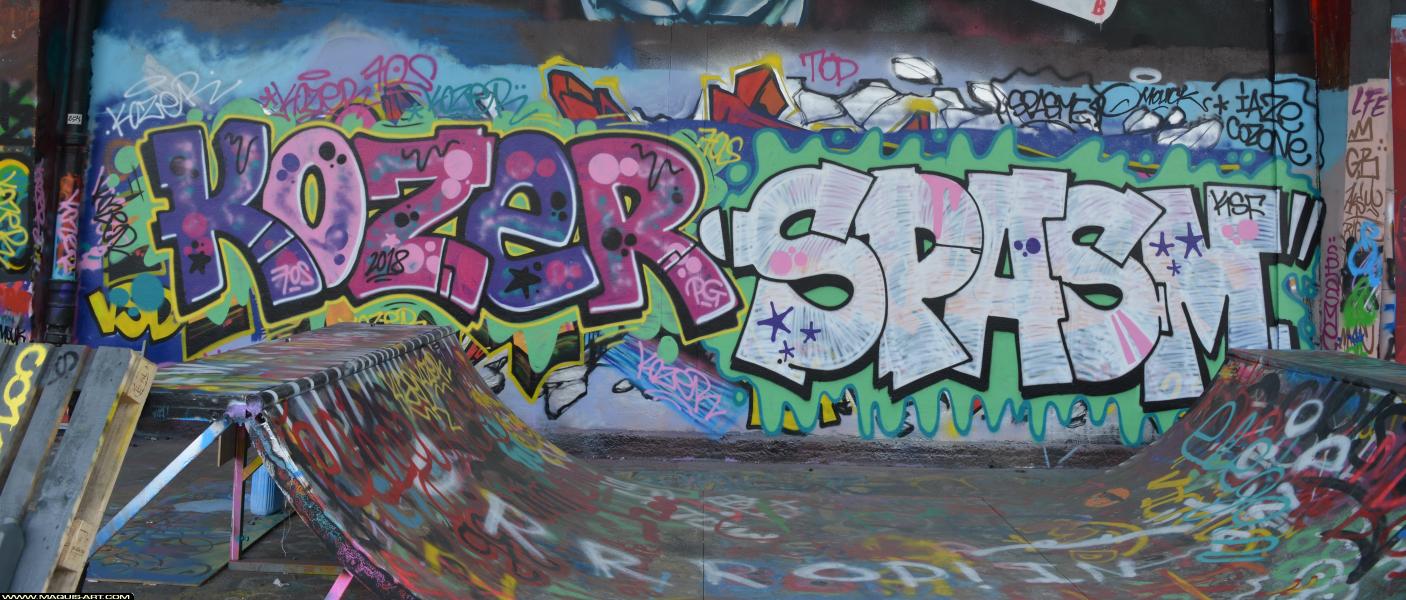 Spasm - Artiste Graffiti au Wall of Fame L'Aérosol