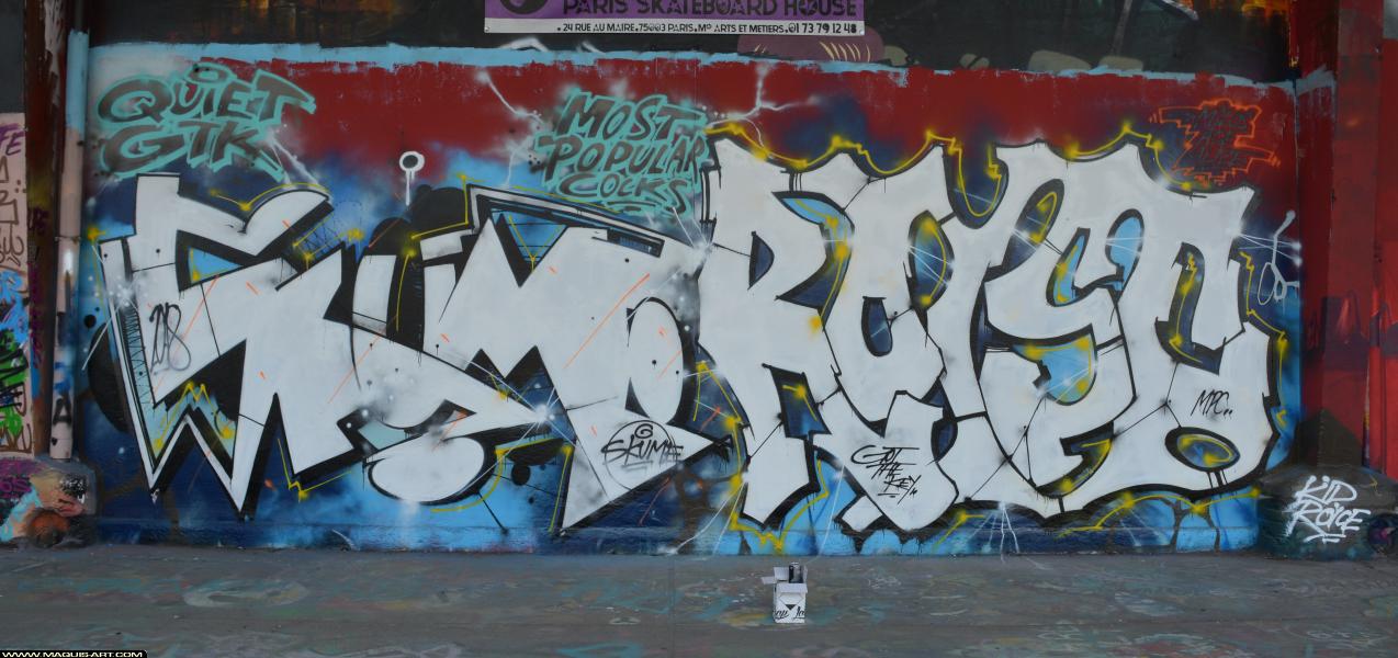 Roys - Artiste Graffiti au Wall of Fame L'Aérosol