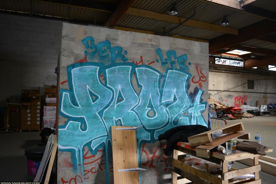Graffiti de Proze (3er Lfe) à L'Aérosol Paris (11 avril 2018)