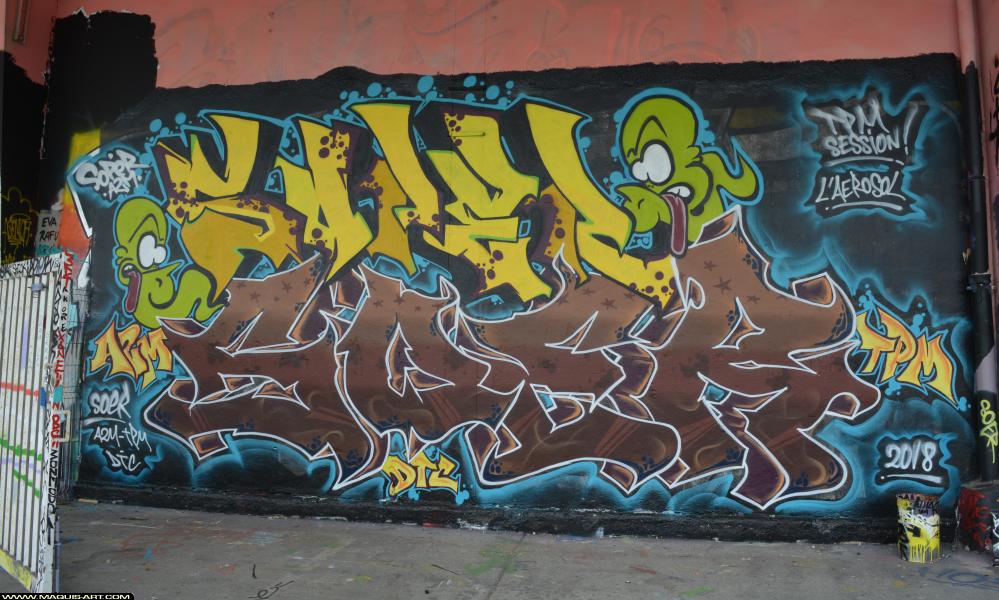 Soer - Artiste Graffiti au Wall of Fame L'Aérosol