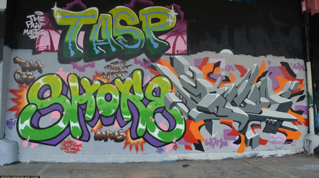 Shoke - Artiste Graffiti au Wall of Fame L'Aérosol