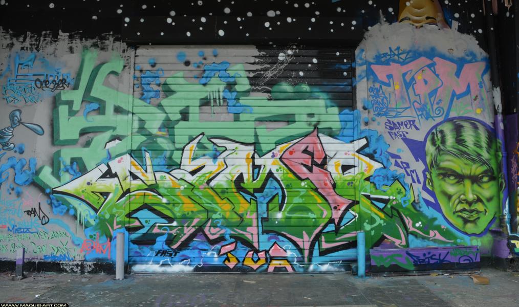 Zoea - Artiste Graffiti au Wall of Fame L'Aérosol