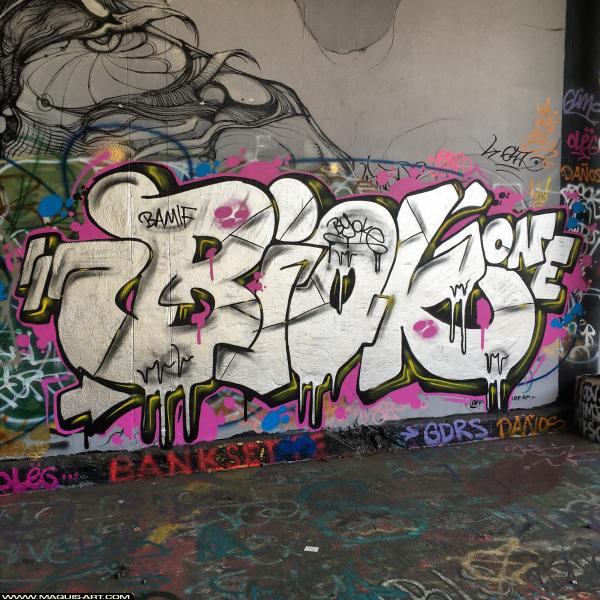 Graffiti de Bioke à L'Aérosol Paris (7 novembre 2018)