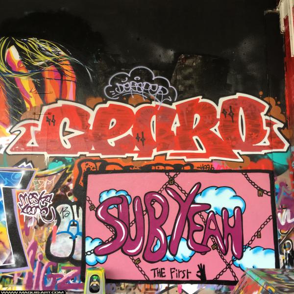 Graffiti de Cearo à L'Aérosol Paris (7 novembre 2018)