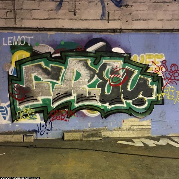 Graffiti de Freu à L'Aérosol Paris (7 novembre 2018)