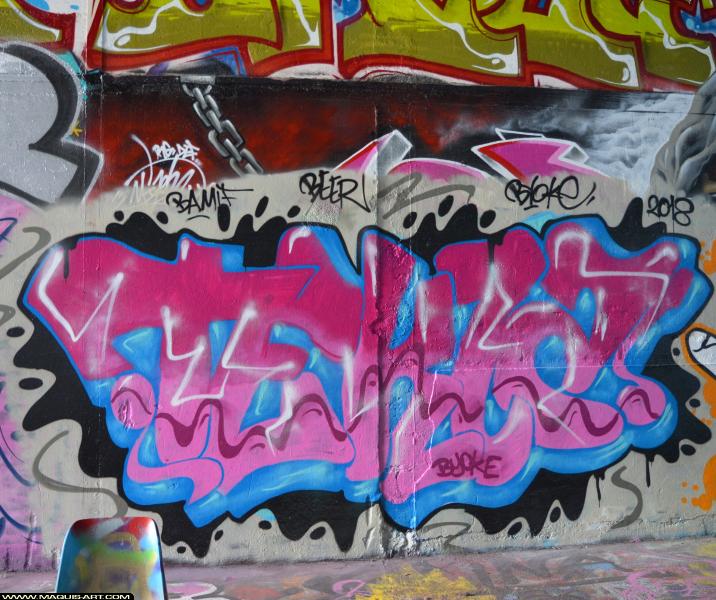Graffiti de Bioke à L'Aérosol Paris (8 novembre 2018)