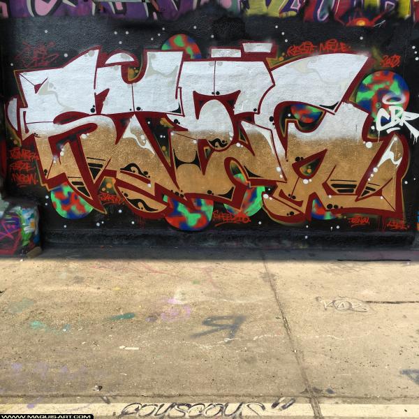 Graffiti de Steg à L'Aérosol Paris (8 novembre 2018)