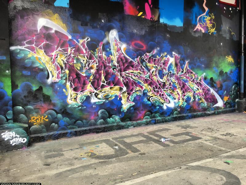 Graffiti de Torek à L'Aérosol Paris (8 novembre 2018)