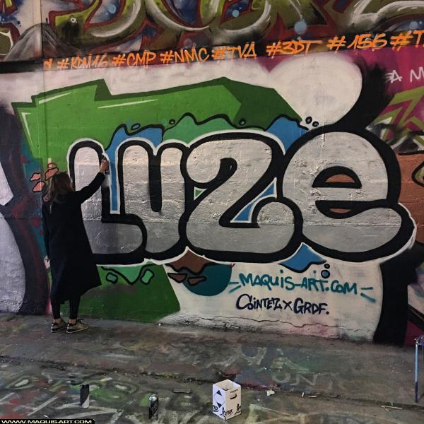 Luze - Artiste Graffiti au Wall of Fame L'Aérosol