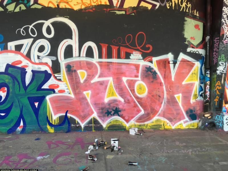 Graffiti de Rtok à L'Aérosol Paris (8 novembre 2018)
