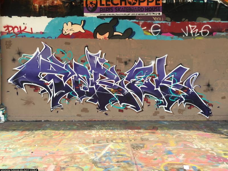 Graffiti de Torek à L'Aérosol Paris (8 novembre 2018)