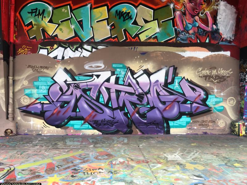 Graffiti de Reverse et Astro (fxp) à L'Aérosol Paris (8 novembre 2018)