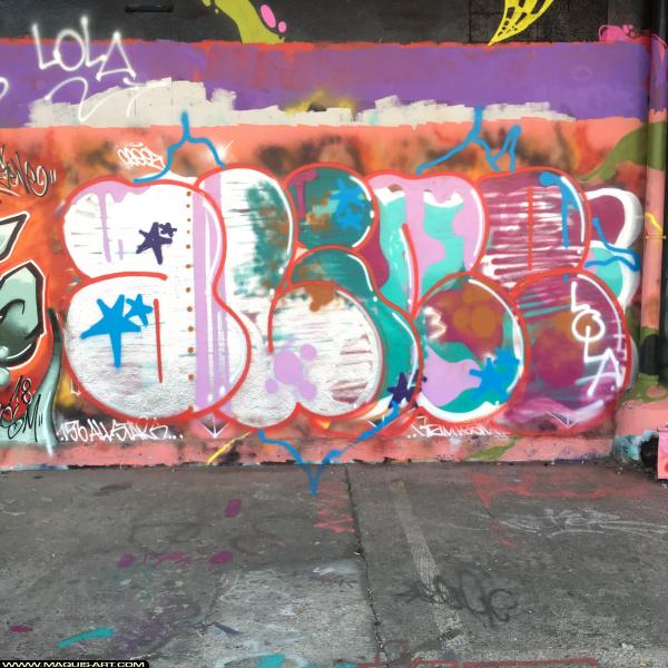 Graffiti d'Iaze à L'Aérosol Paris (8 novembre 2018)
