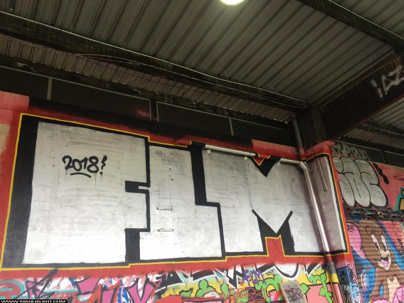 Graffiti à L'Aérosol Paris (8 novembre 2018)