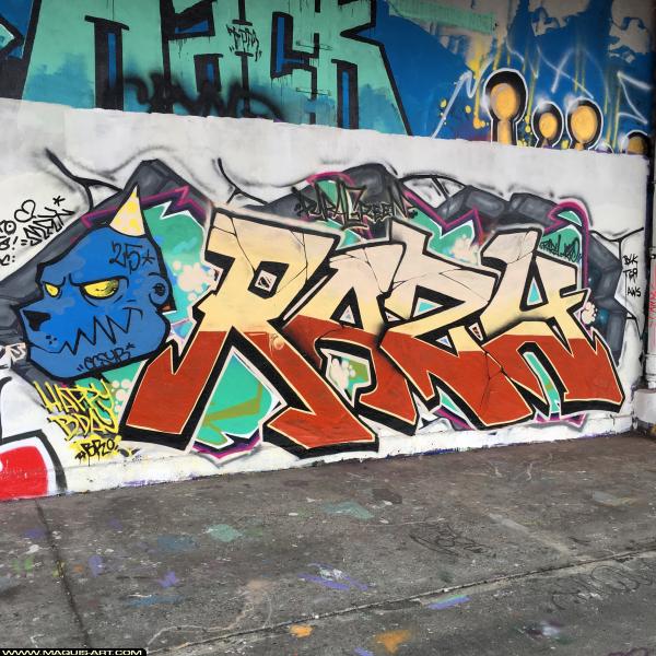 Razy - Artiste Graffiti au Wall of Fame L'Aérosol