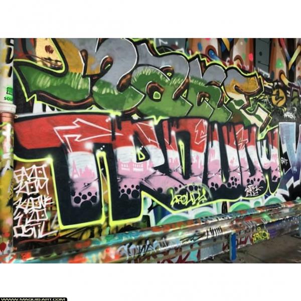 Troudy - Artiste Graffiti au Wall of Fame L'Aérosol