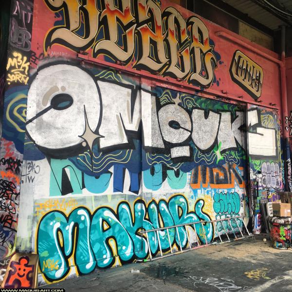 Deace - Artiste Graffiti au Wall of Fame L'Aérosol