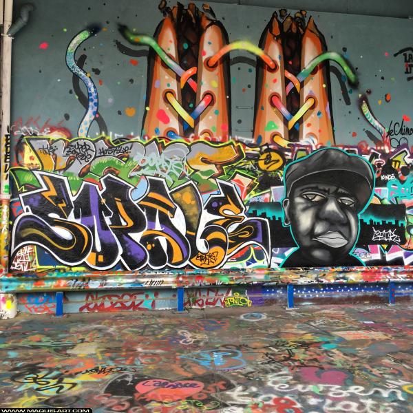 Graffiti de Sopale à L'Aérosol Paris (8 novembre 2018)
