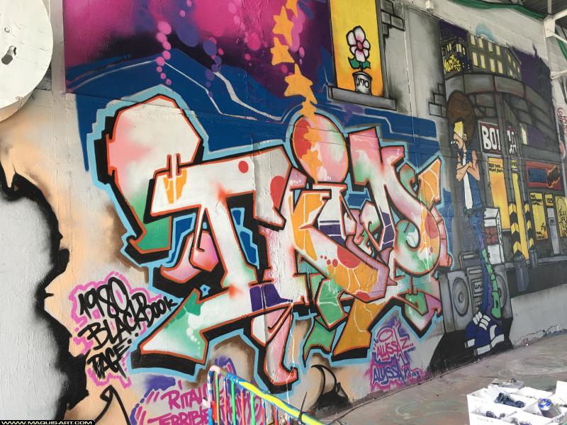 T.kid - Artiste Graffiti au Wall of Fame L'Aérosol