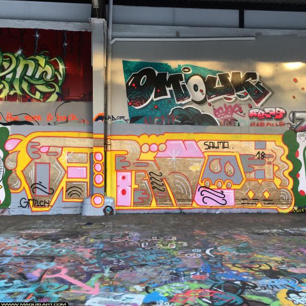 Graffiti d'Omouk et Grinch à L'Aérosol Paris (8 novembre 2018)