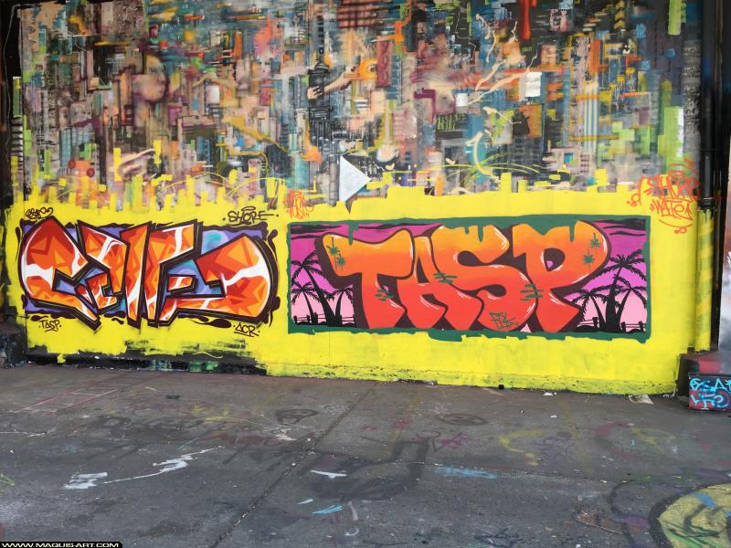 Tasp - Artiste Graffiti au Wall of Fame L'Aérosol