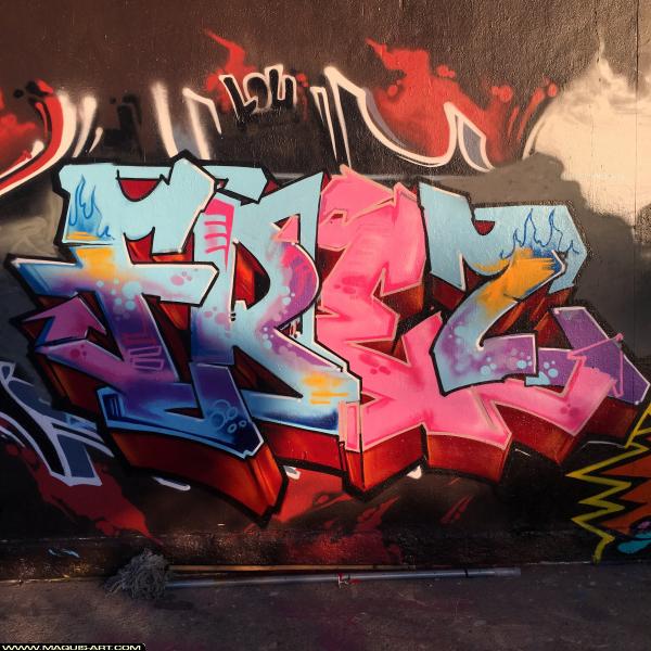 Frez - Artiste Graffiti au Wall of Fame L'Aérosol