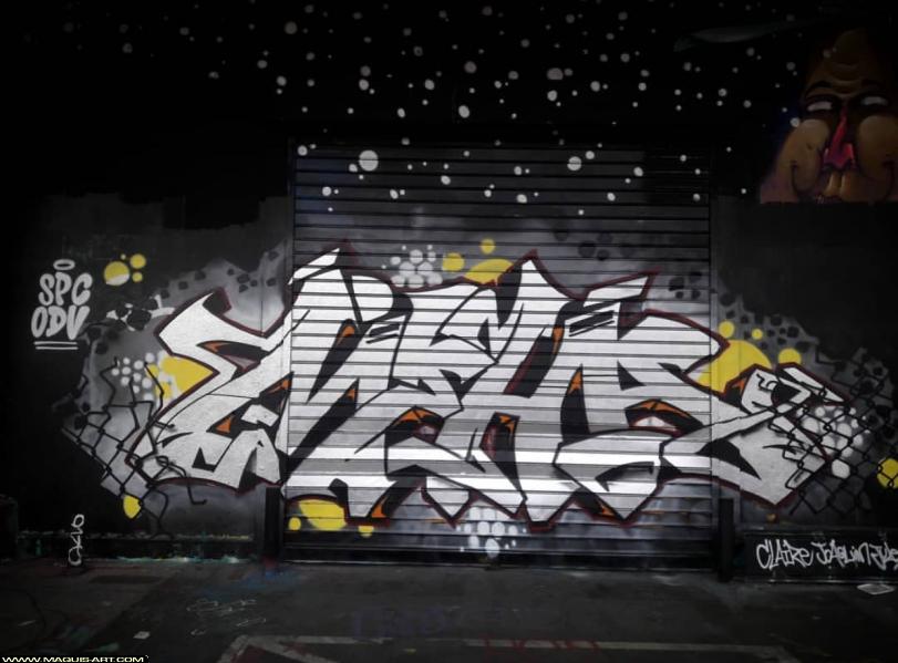 Graffiti de Meha à L'Aérosol Paris (8 novembre 2018)
